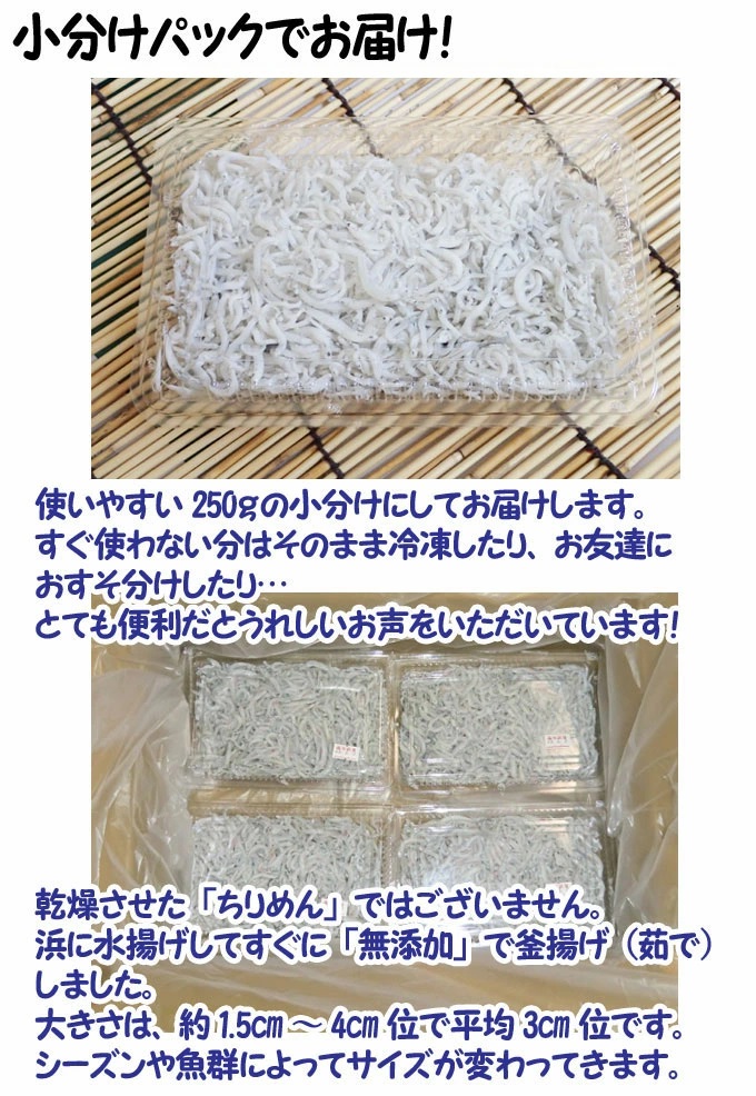 150円 お中元 四国 佐田岬半島 めかぶ 60g 木嶋水産 150円 お中元 四国 佐田岬半島 めかぶ 60g 木嶋水産